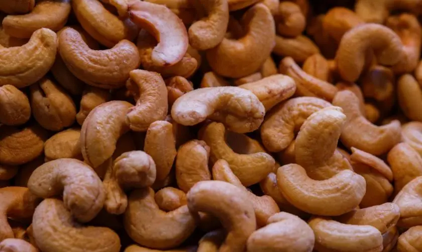 Cashew